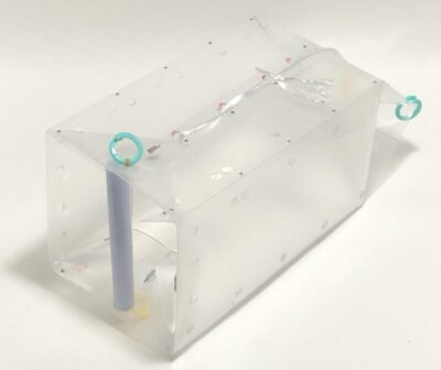 工作作品例：水中の生き物観察箱